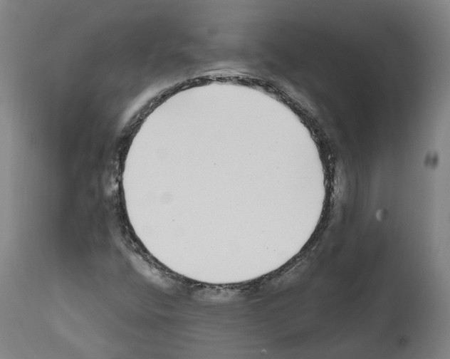 X0000112361400200909241114