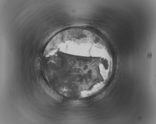 X0000112361401200909241114