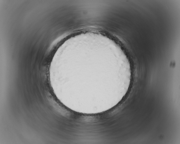 X0000112361402200909241114