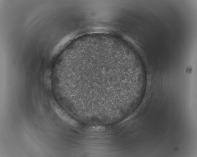 X0000112361403200909241114