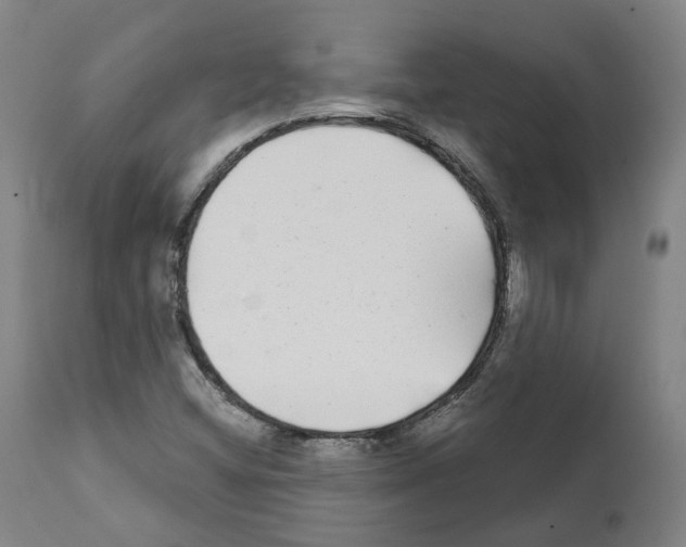 X0000112361404200909241114