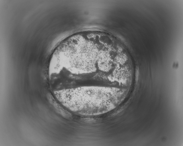 X0000112361405200909241114