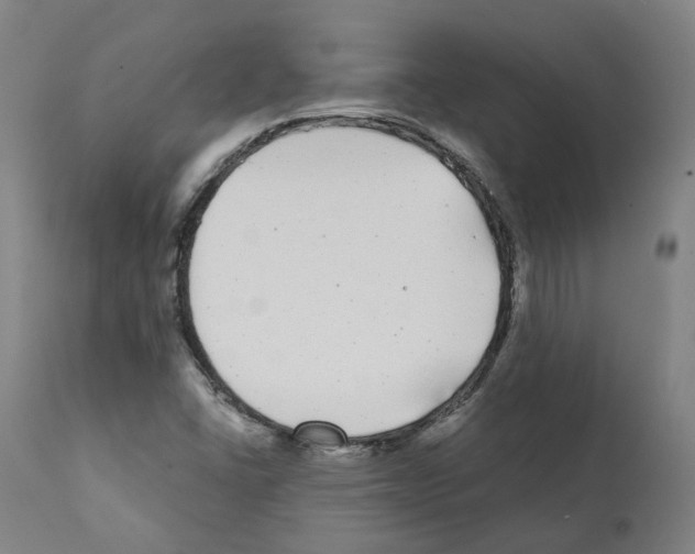 X0000112361406200909241114