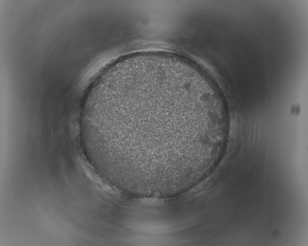 X0000112361407200909241114