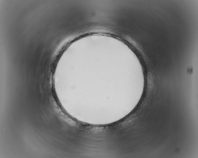 X0000112361408200909241115