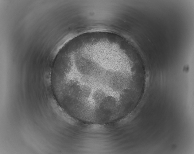 X0000112361409200909241115