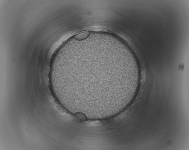 X0000112361410200909241115