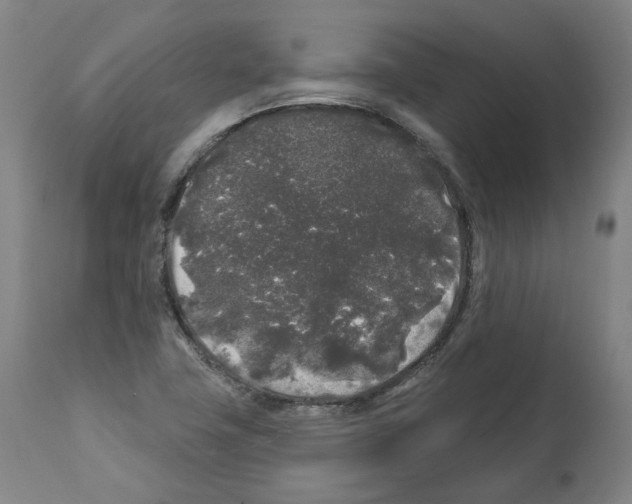 X0000112361411200909241115