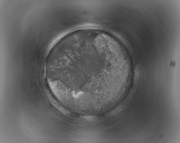 X0000112361413200909241115