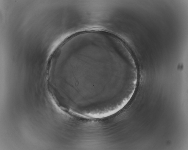 X0000112361414200909241115