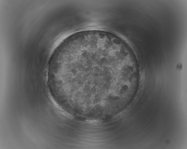 X0000112361415200909241115