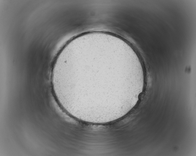X0000112361416200909241115