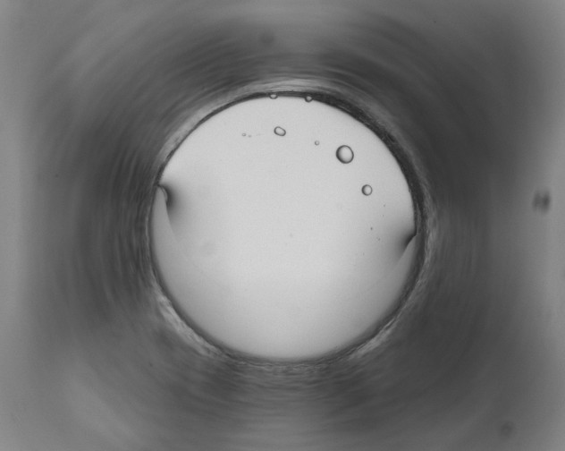 X0000112361417200909241115