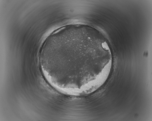 X0000112361419200909241115