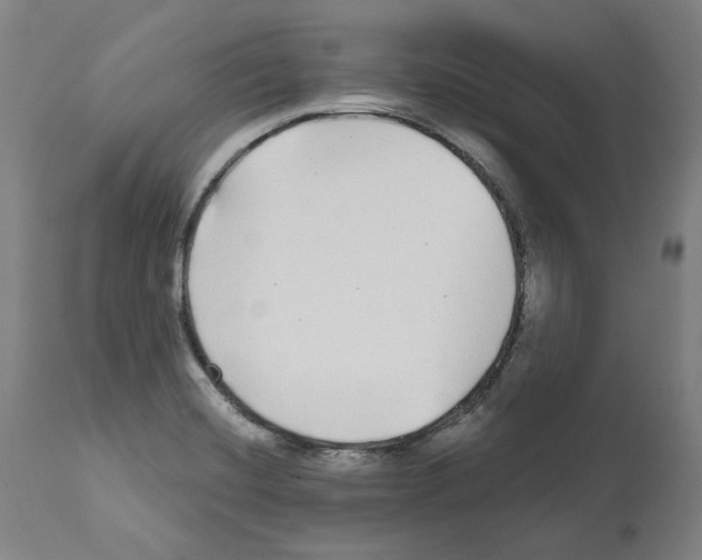 X0000112361420200909241115