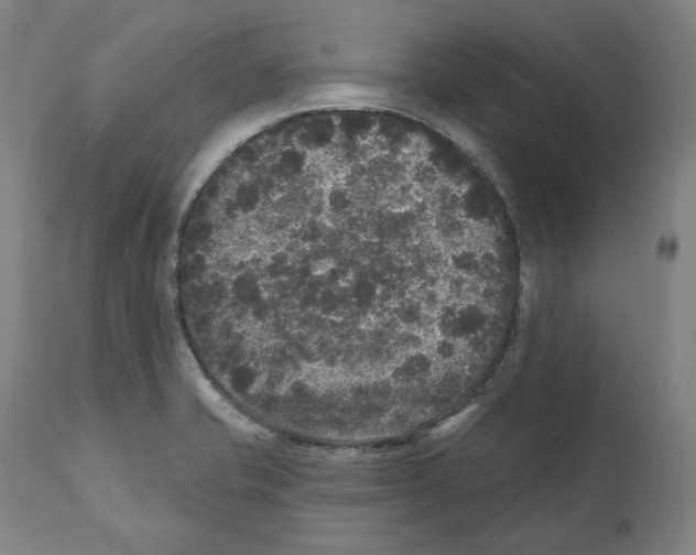 X0000112361421200909241115