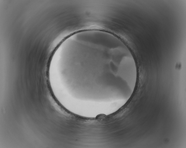 X0000112361422200909241115