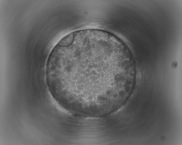 X0000112361423200909241115