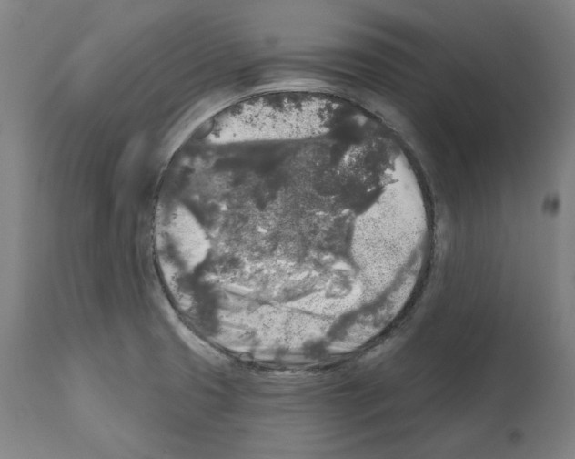 X0000112361425200909241115