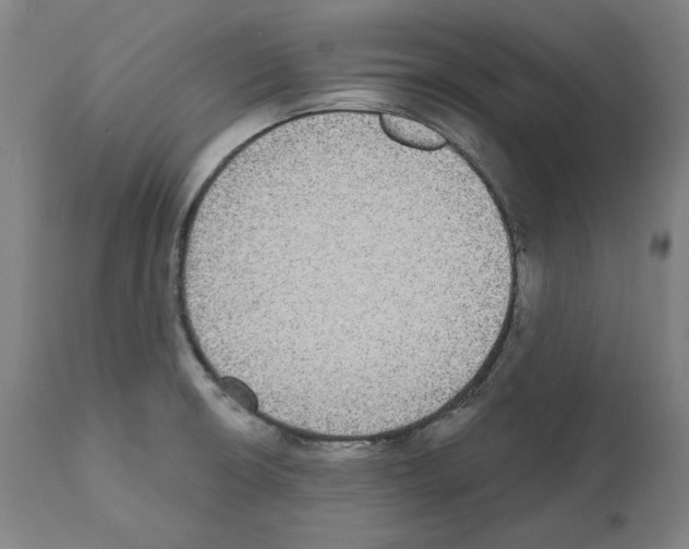X0000112361426200909241115