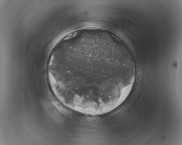 X0000112361427200909241115
