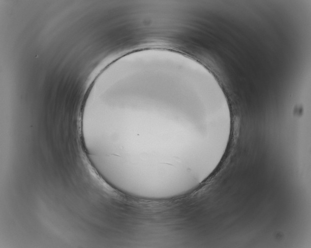 X0000112361428200909241115