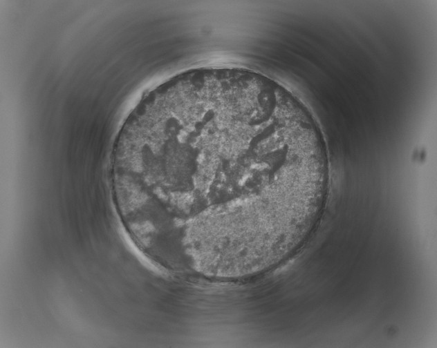 X0000112361429200909241115