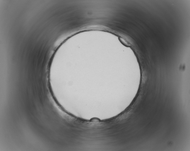 X0000112361430200909241115