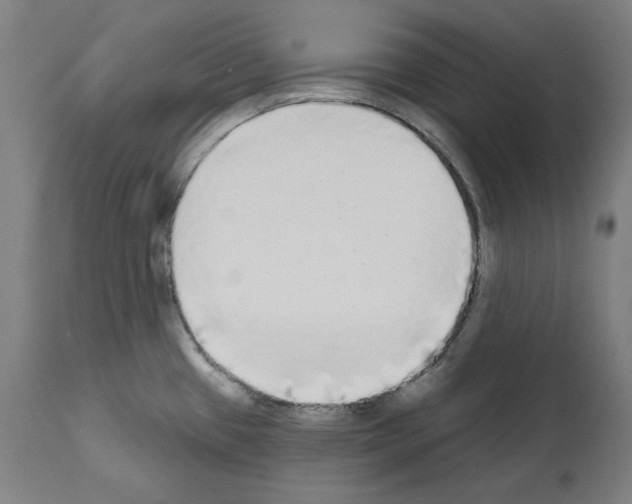 X0000112361433200909241115