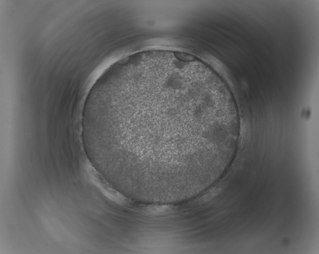 X0000112361435200909241115