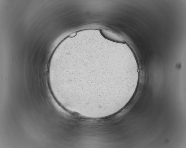 X0000112361438200909241115