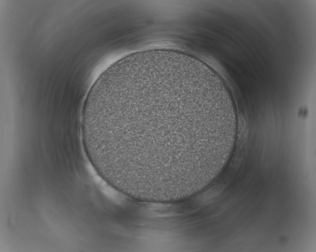 X0000112361439200909241115
