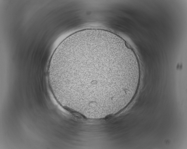 X0000112361440200909241115