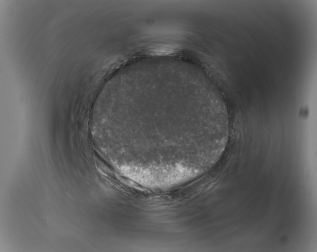 X0000112361441200909241114