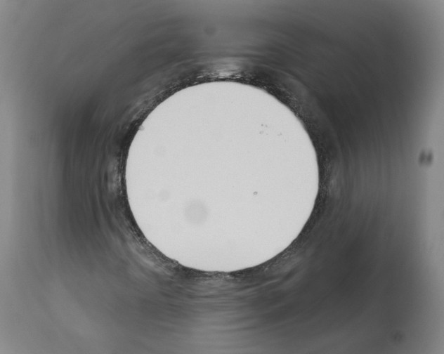 X0000112361442200909241114
