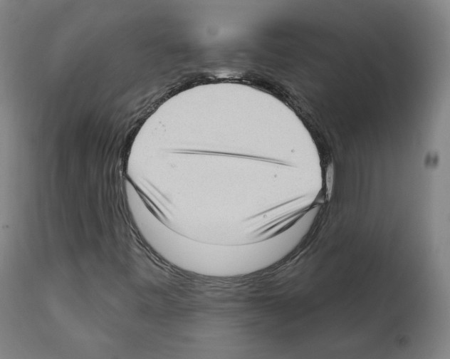 X0000112361443200909241114
