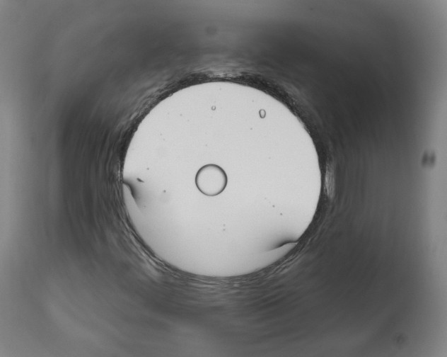 X0000112361444200909241114