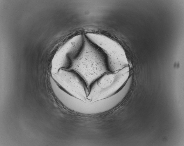 X0000112361445200909241114