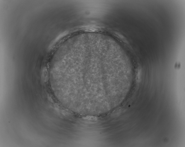 X0000112361446200909241114