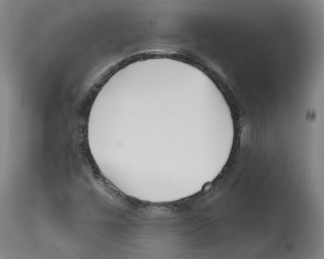 X0000112361448200909241114