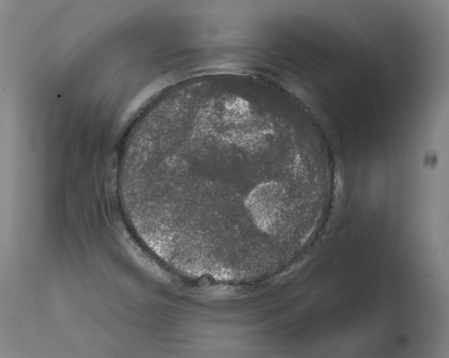 X0000112361450200909241114
