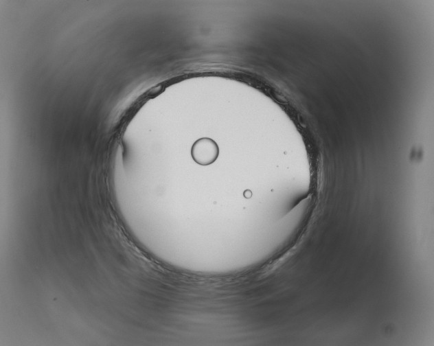 X0000112361453200909241114