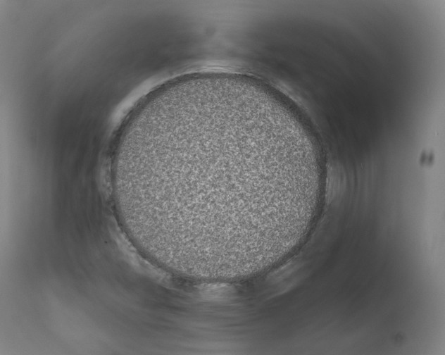 X0000112361454200909241114