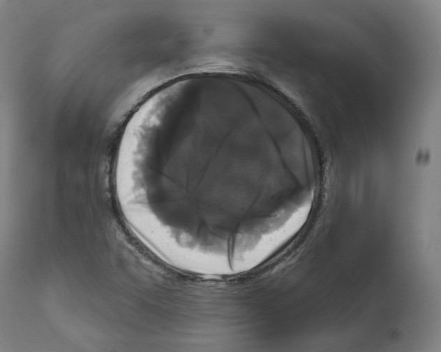 X0000112361455200909241114