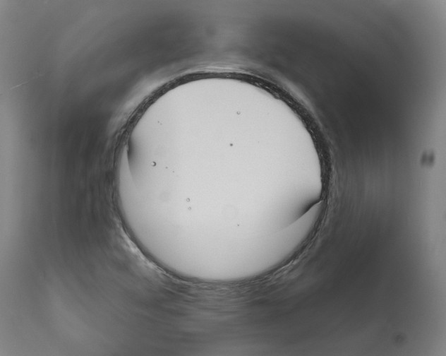 X0000112361456200909241114