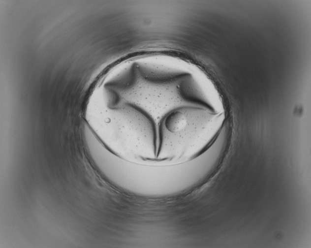 X0000112361457200909241114