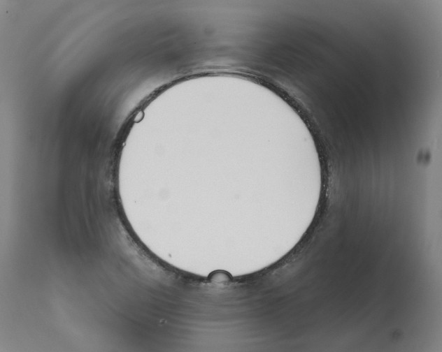X0000112361458200909241114