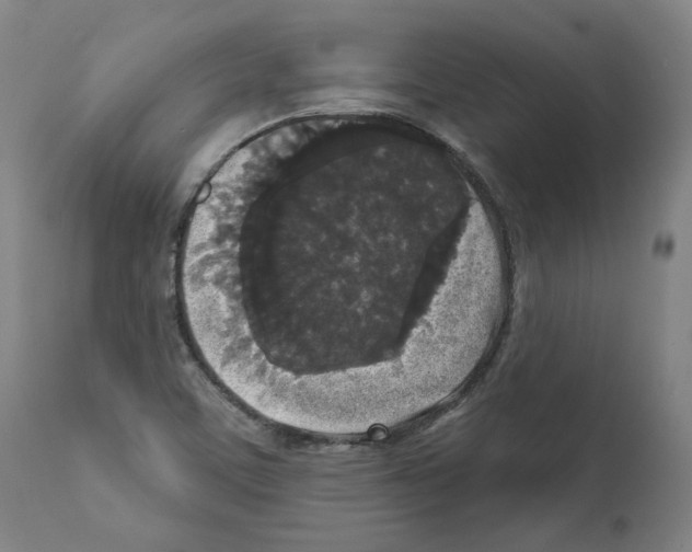 X0000112361459200909241114
