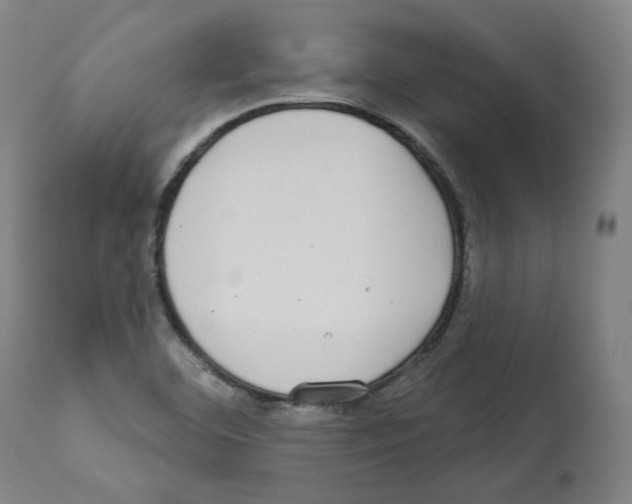 X0000112361460200909241114