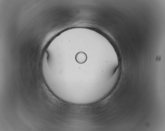X0000112361461200909241114